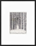 Tom Uttech - Makwa Moss Etching